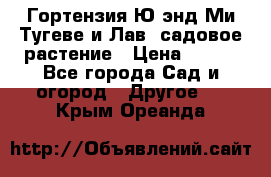 Гортензия Ю энд Ми Тугеве и Лав, садовое растение › Цена ­ 550 - Все города Сад и огород » Другое   . Крым,Ореанда